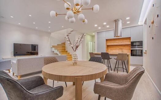 Modern penthouse apartment